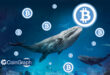 نهنگ‌های بیت‌کوین از ماه سپتامبر 4.8 میلیارد دلار بیت‌کوین خریداری کردند!