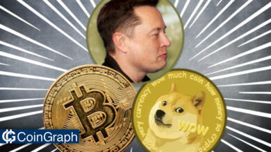 خطاهای محاسباتی Elon Musk در قیاس بیت‌کوین با دوج کوین!