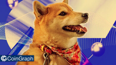 هشدار تیم دوج‌ کوین: توکن DogeChain تقلبی است!