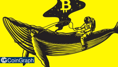 با نزدیک شدن به کف قیمتی بیت‌کوین؛ نهنگ‌ها درحال انباشت هستند!