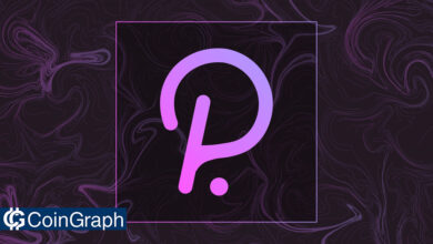 رکورد جدید پولکادوت؛ فعالیت توسعه‌دهندگان پولکادات به بالاترین حد تاریخی خود رسید!