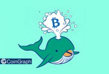 Bitcoin Whale