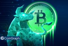 Bitcoin Bull Market