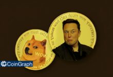 Elon Musk and Dogecoin