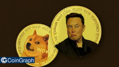 Elon Musk and Dogecoin