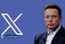 Elon Musk, X Owner