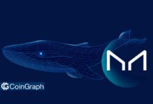 Maker DAO Whale