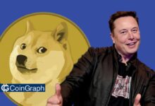 Elon Musk Dogecoin