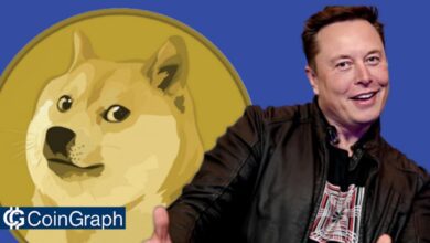 Elon Musk Dogecoin