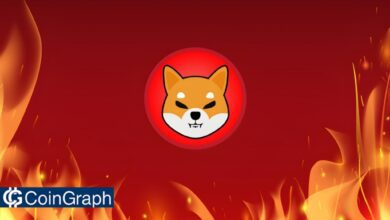 Shiba Inu Burn
