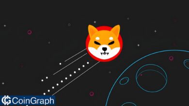 Shiba Inu to the Mars